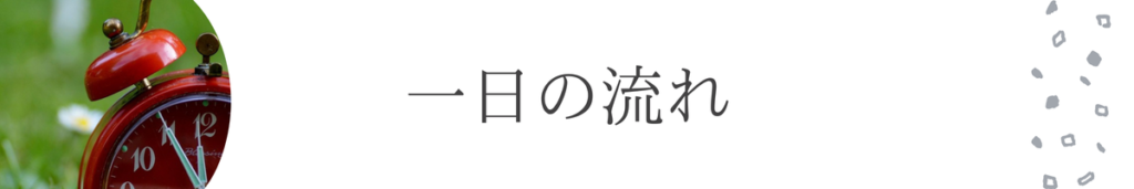 一日の流れ